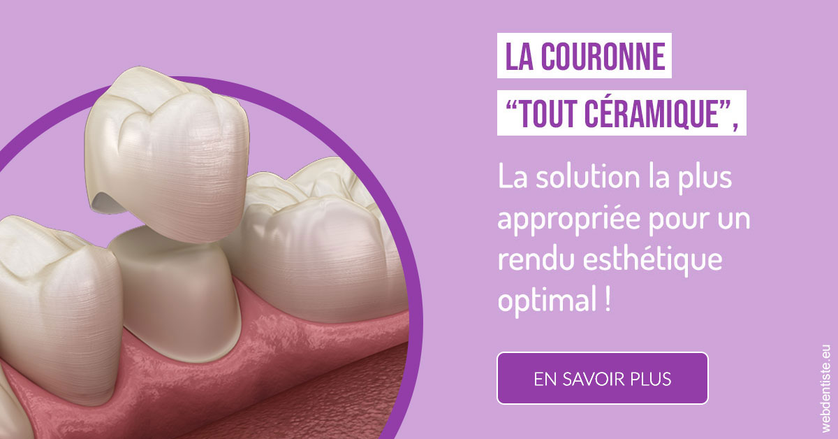 https://selarl-dr-rapoport.chirurgiens-dentistes.fr/La couronne "tout céramique" 2