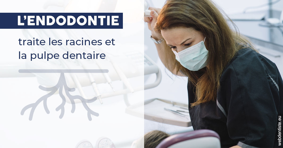 https://selarl-dr-rapoport.chirurgiens-dentistes.fr/L'endodontie 1