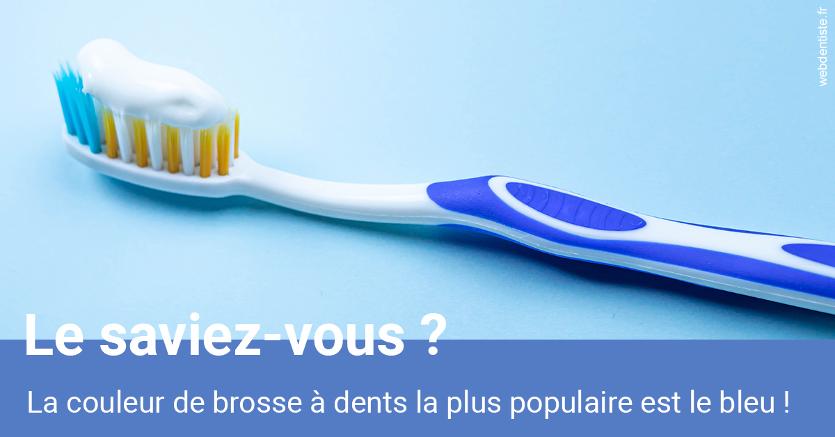 https://selarl-dr-rapoport.chirurgiens-dentistes.fr/Couleur de brosse à dents