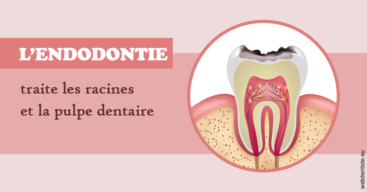 https://selarl-dr-rapoport.chirurgiens-dentistes.fr/L'endodontie 2