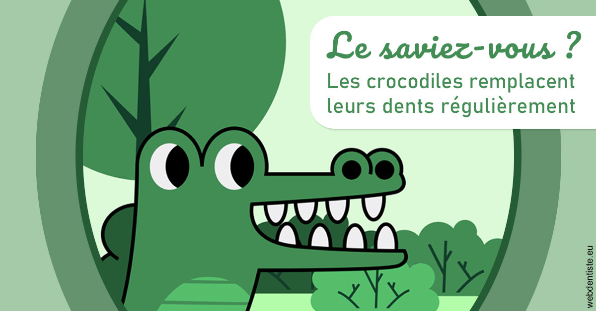 https://selarl-dr-rapoport.chirurgiens-dentistes.fr/Crocodiles 2