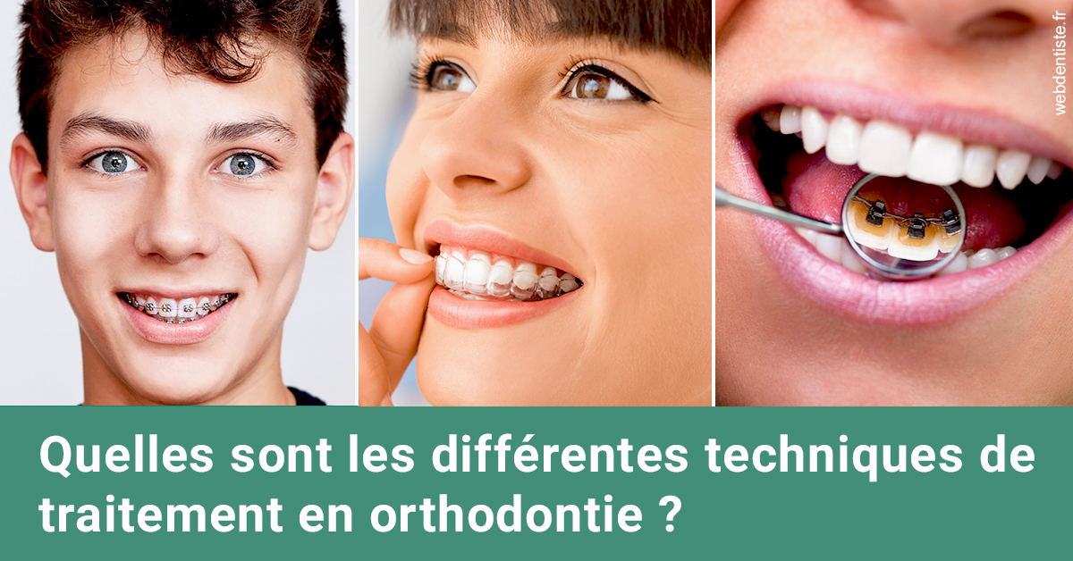 https://selarl-dr-rapoport.chirurgiens-dentistes.fr/Les différentes techniques de traitement 2