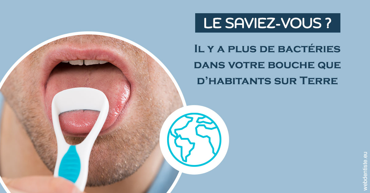 https://selarl-dr-rapoport.chirurgiens-dentistes.fr/Bactéries dans votre bouche 2
