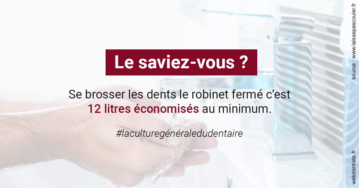 https://selarl-dr-rapoport.chirurgiens-dentistes.fr/Economies d'eau 2